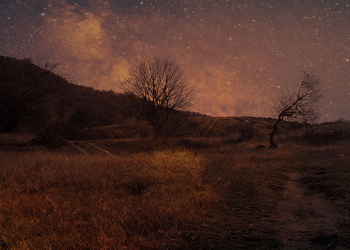 Spring night