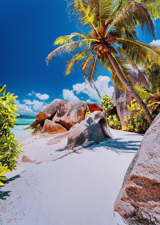 Tropical