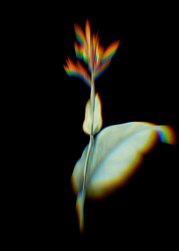 Prism Indian Shot