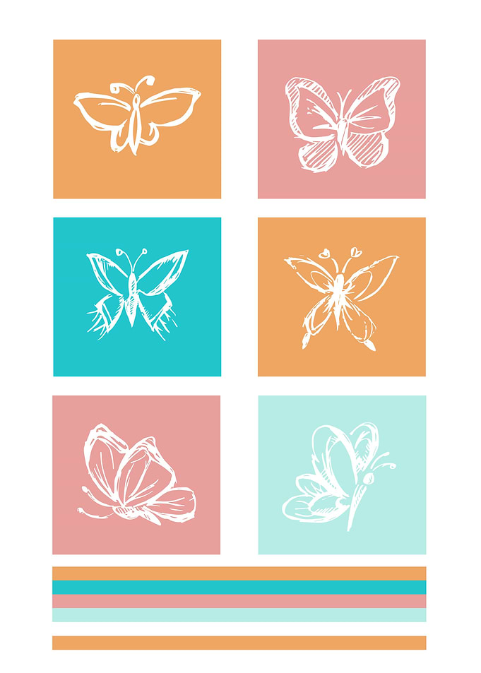 Butterfly Cute Colorful