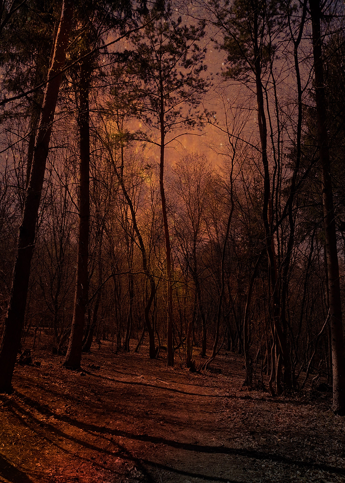 Magic light