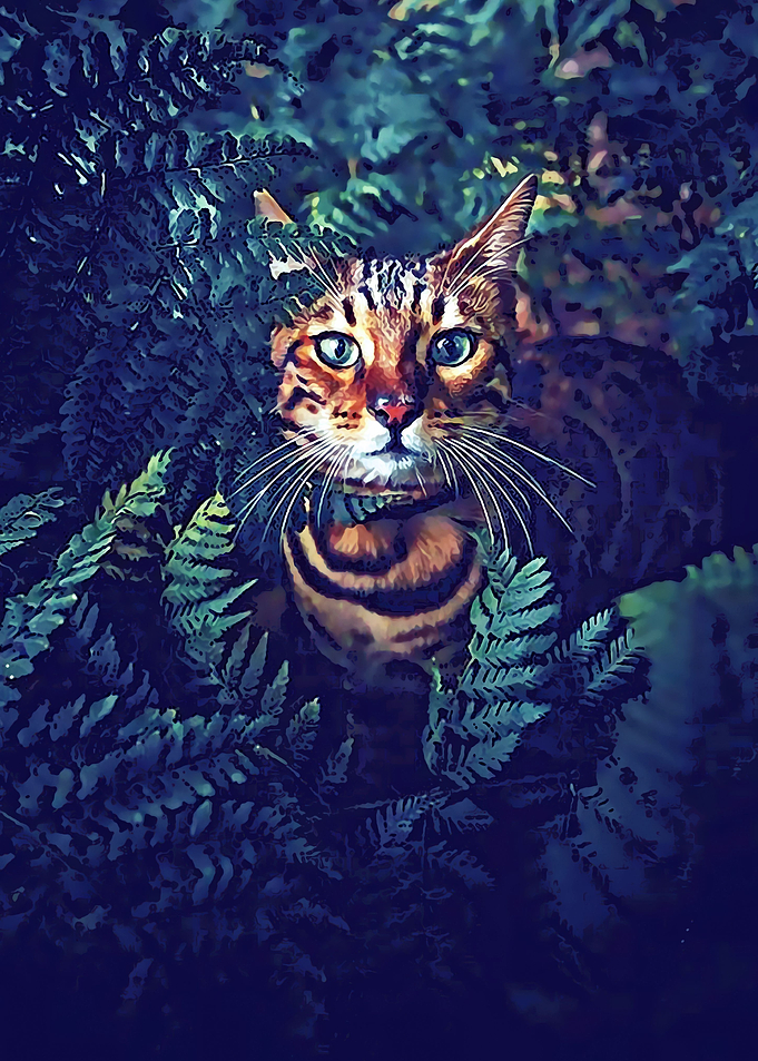 Animal 42