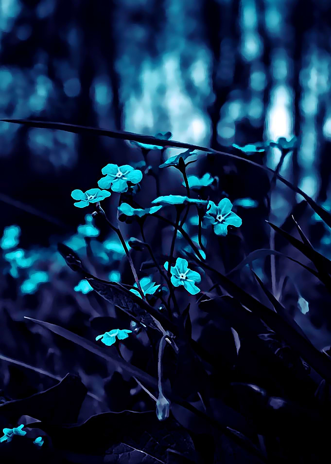 Nature 1