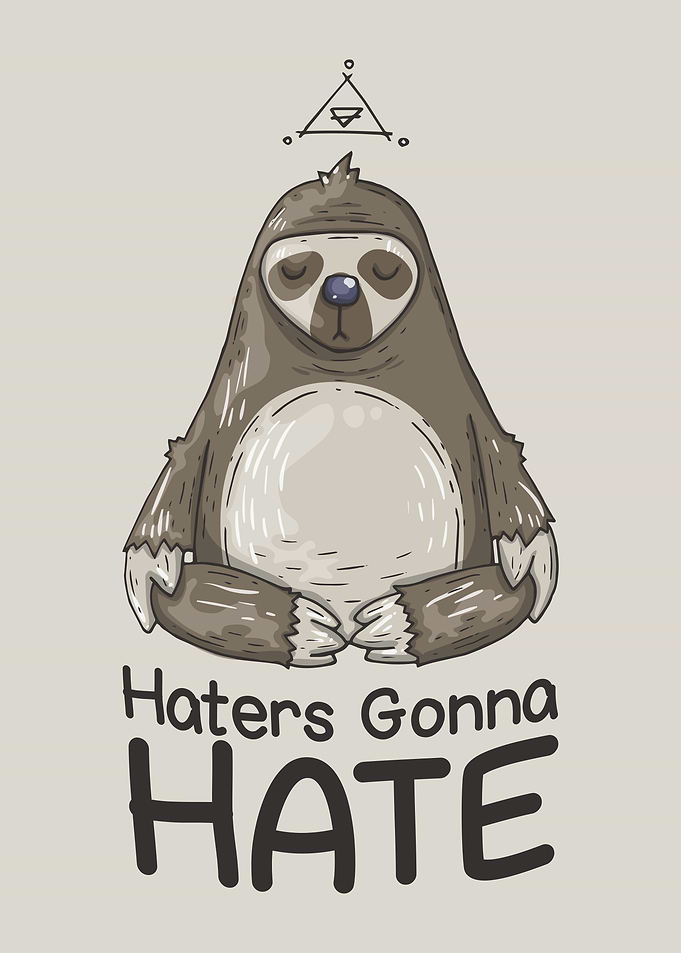 Haters gonna hate