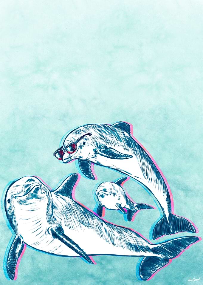Rocking Dolphins