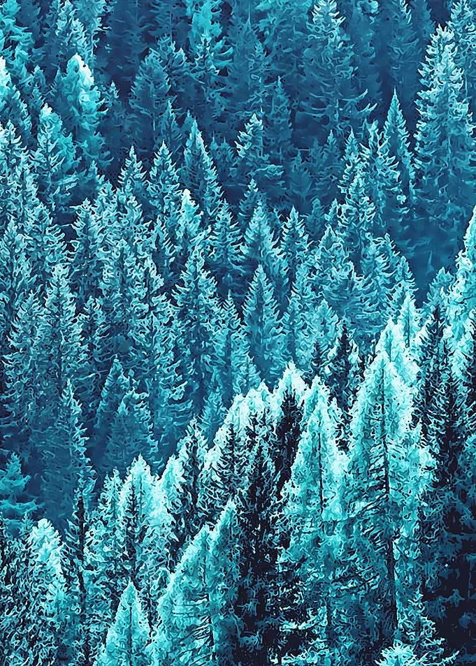Nature 60