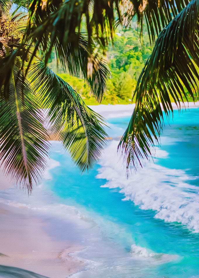 Tropical