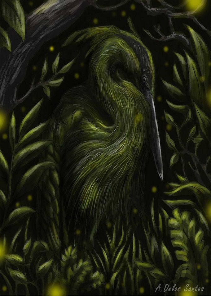 Green Heron