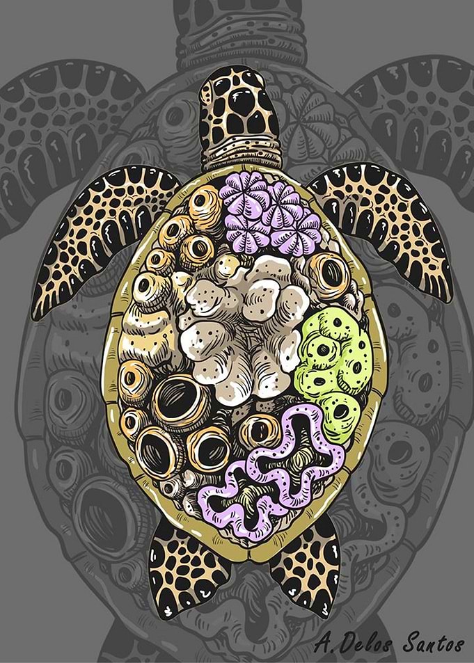Turtle colored