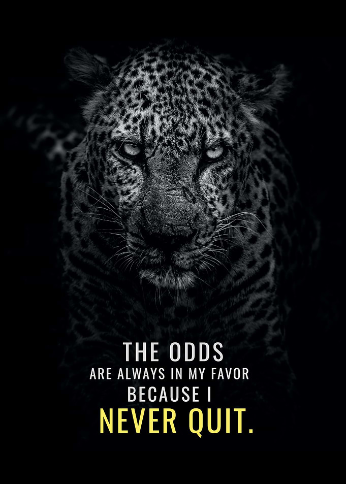The Odds are in my Favor