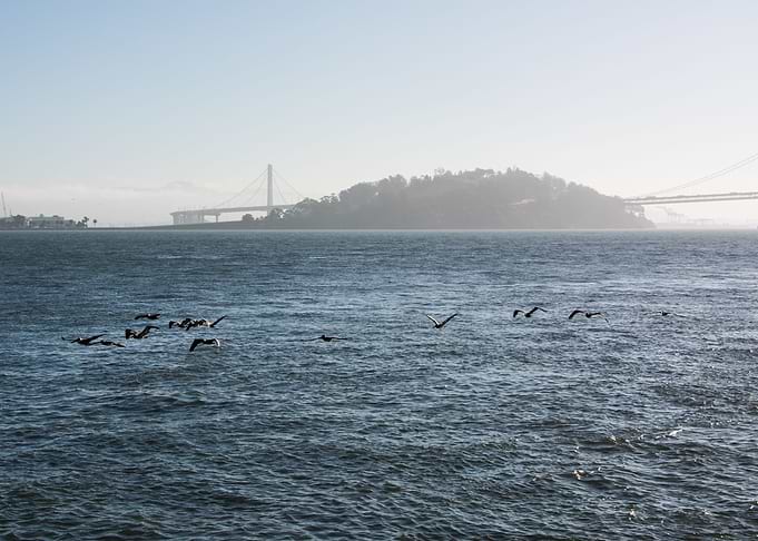 Misty San Francisco