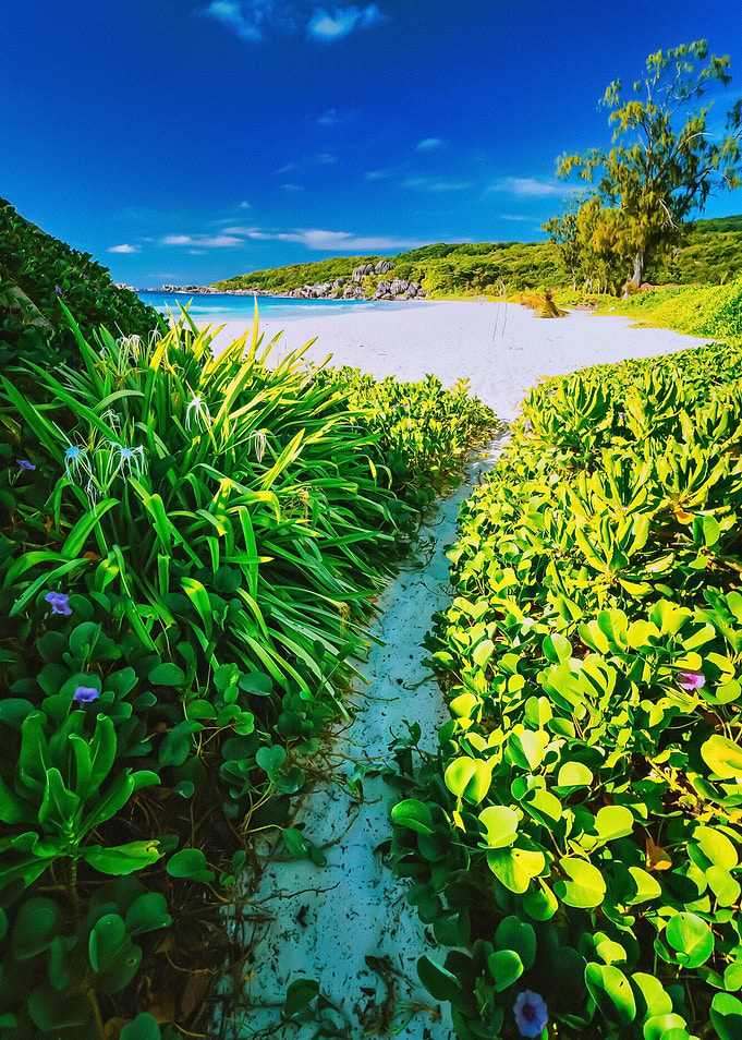 Tropical