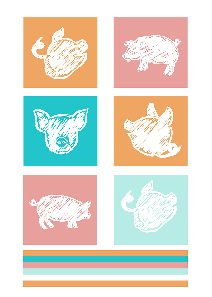 Pig Cute Colorful 2