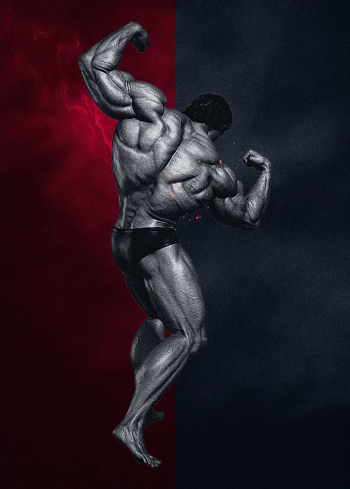 Arnold fitness gym workout