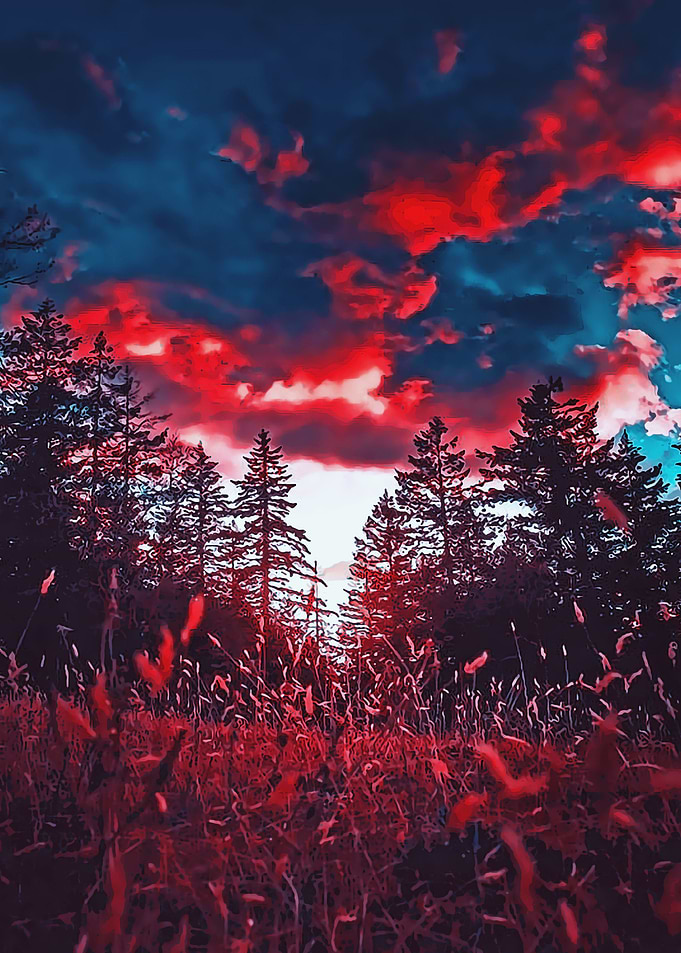 Nature 55