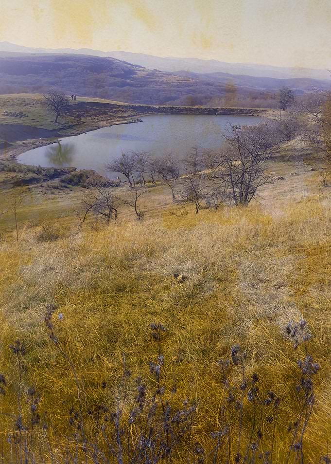 Lake view