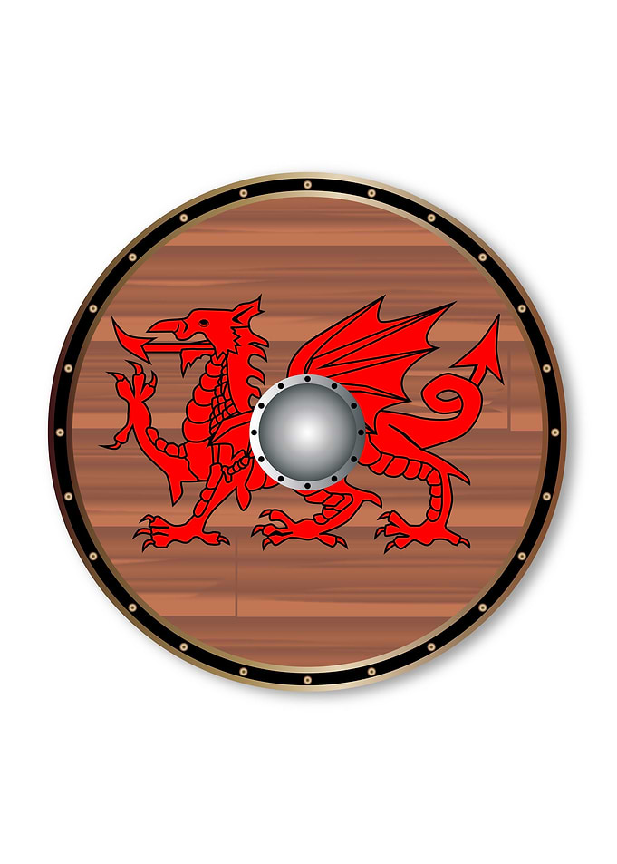 Round Celt Shield