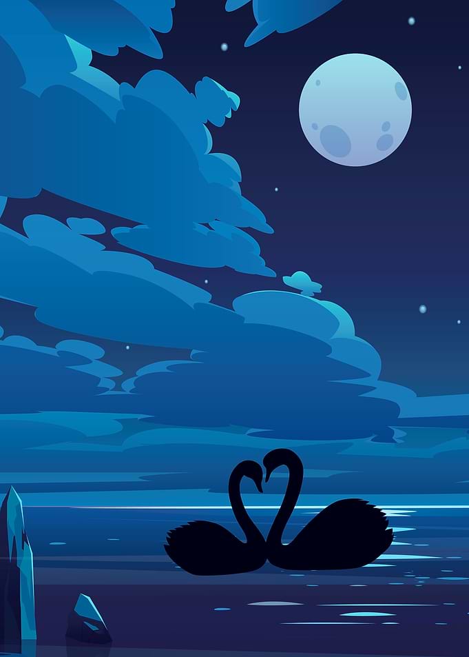 night love