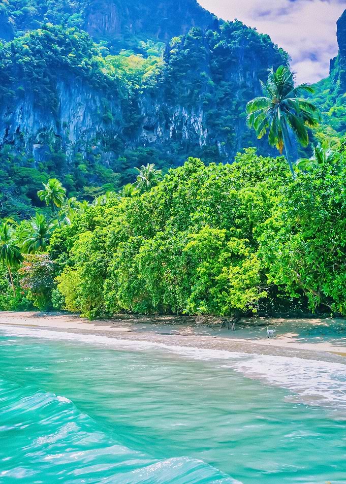 Tropical