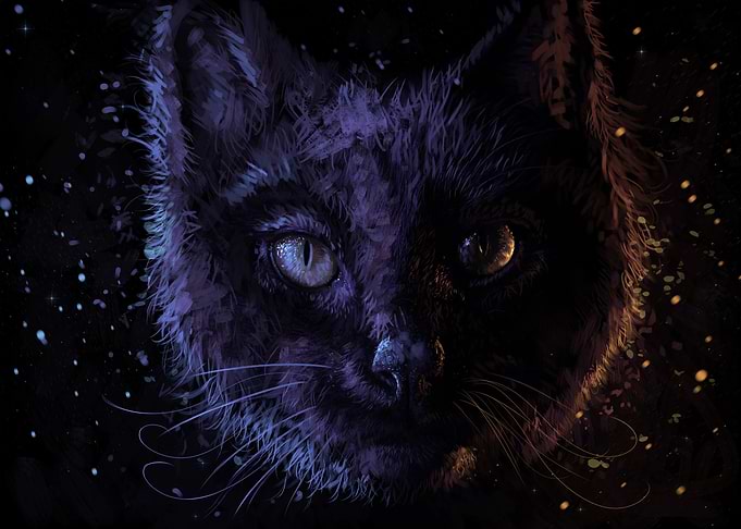 Space Cat