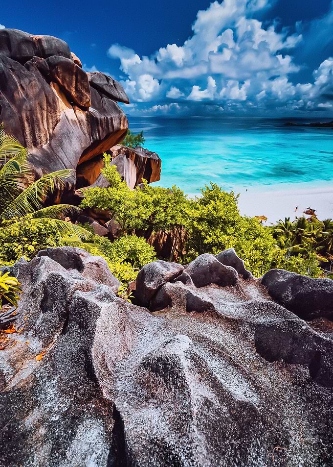 Tropical