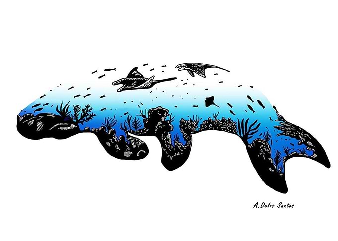 Dugong