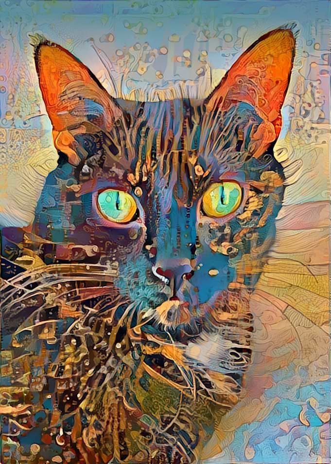 Cat portrait Blaky