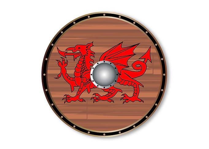 Round Celt Shield