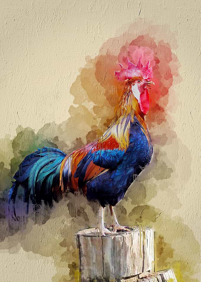 Watercolor Bird Painting
