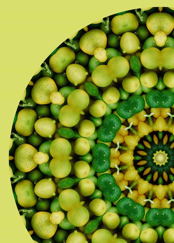 Lemon Lime Mandala