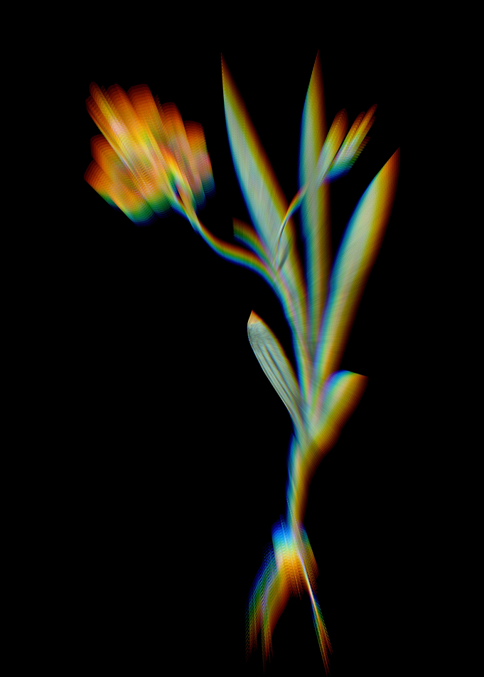 Prism Ixia Miniata