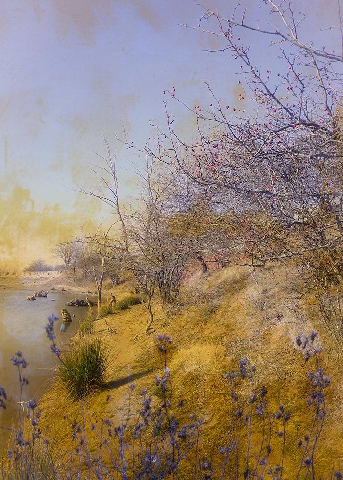 Lake shore