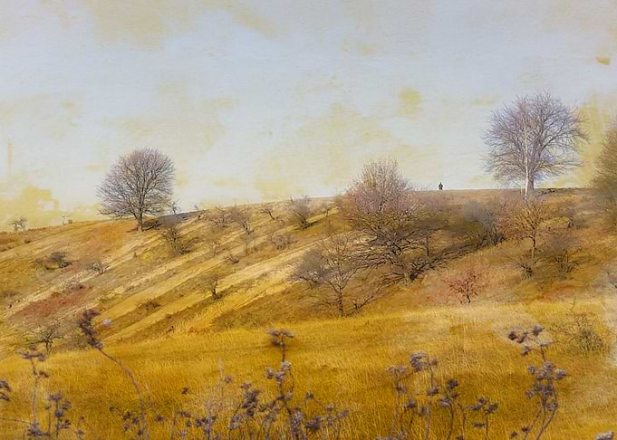 Hills in may