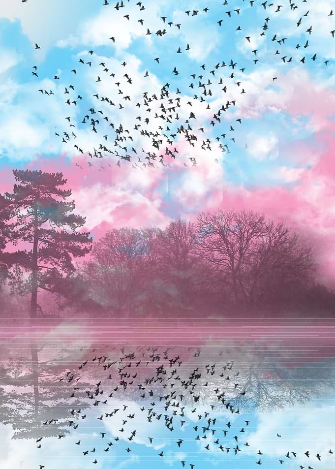 reflection