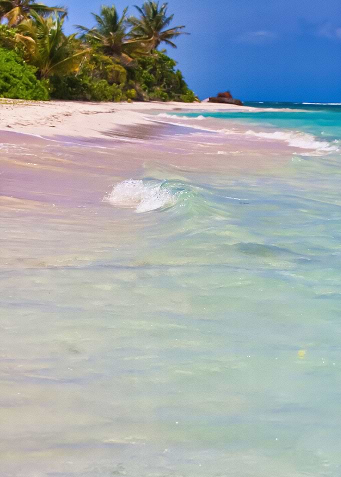 Tropical