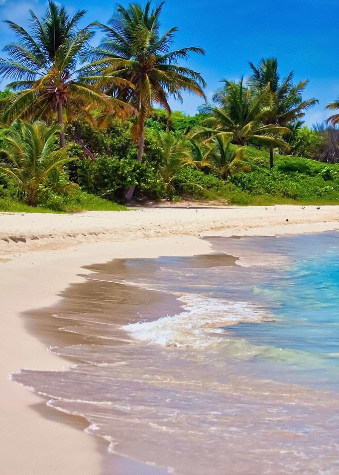 Tropical