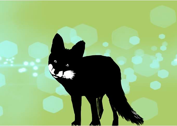 foxey bokeh