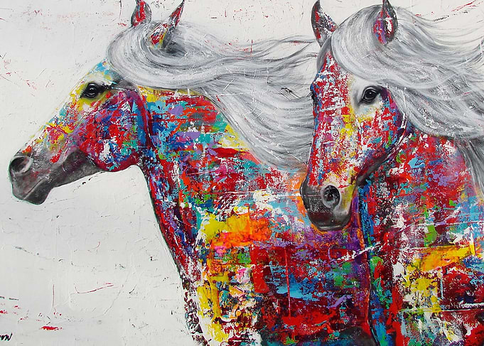 arabic horse