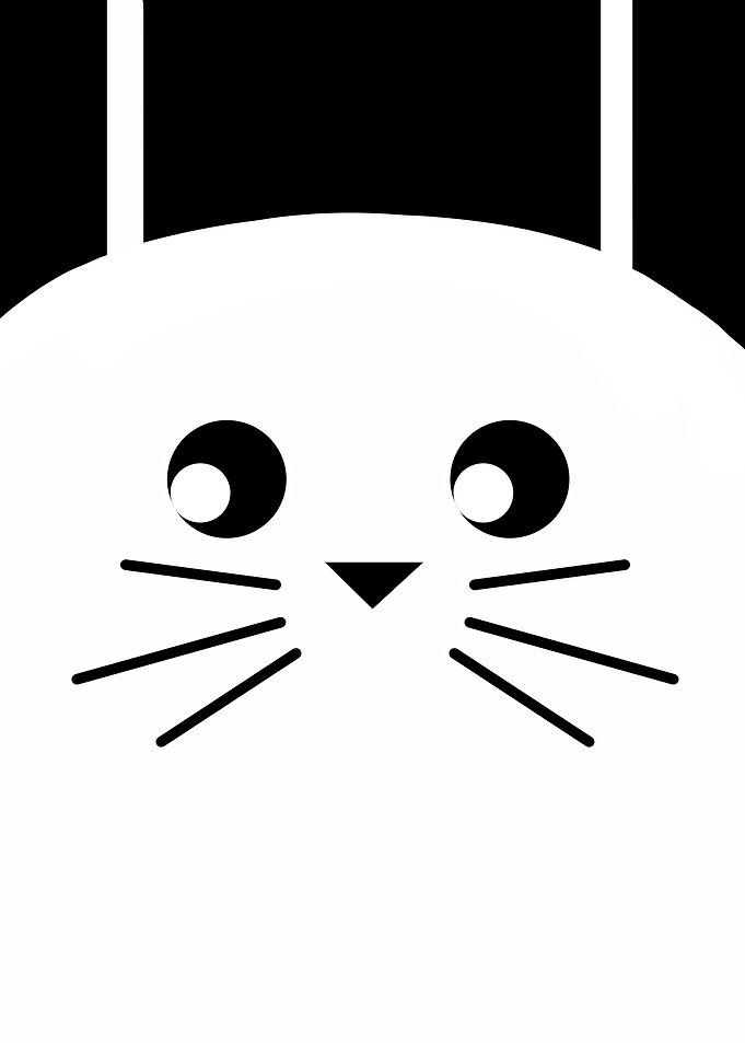 Bunny eyes