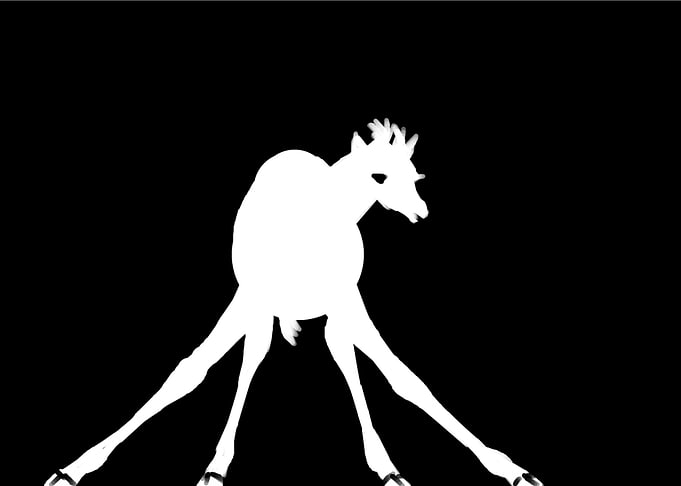 giraffe silhouette