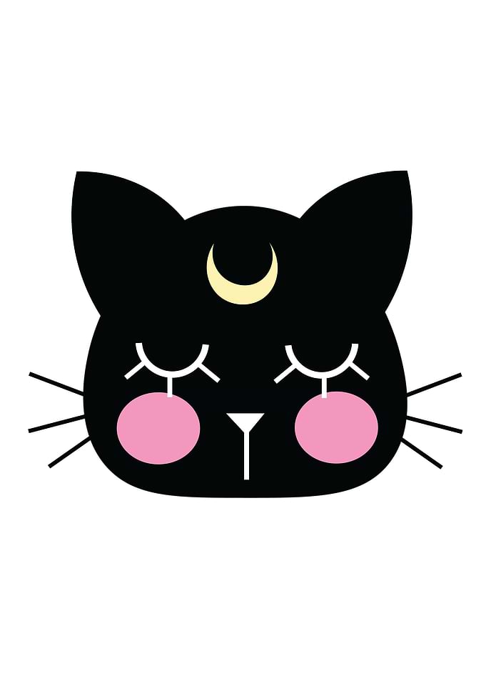 Black Cat