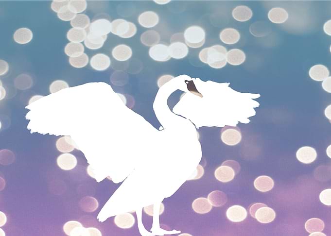 swan bokeh