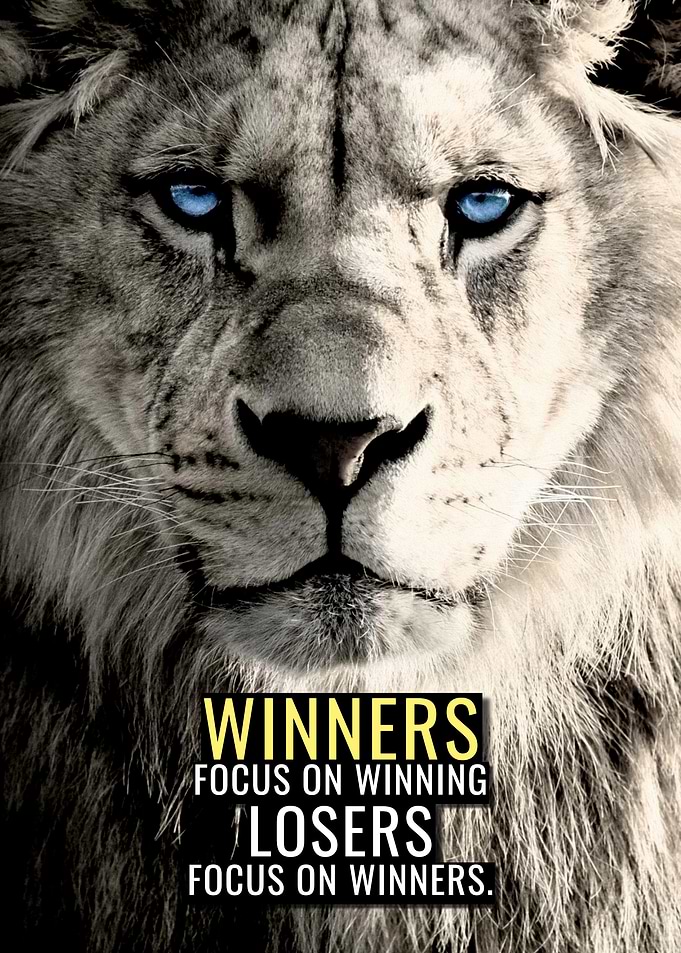Winners Focus on Winning