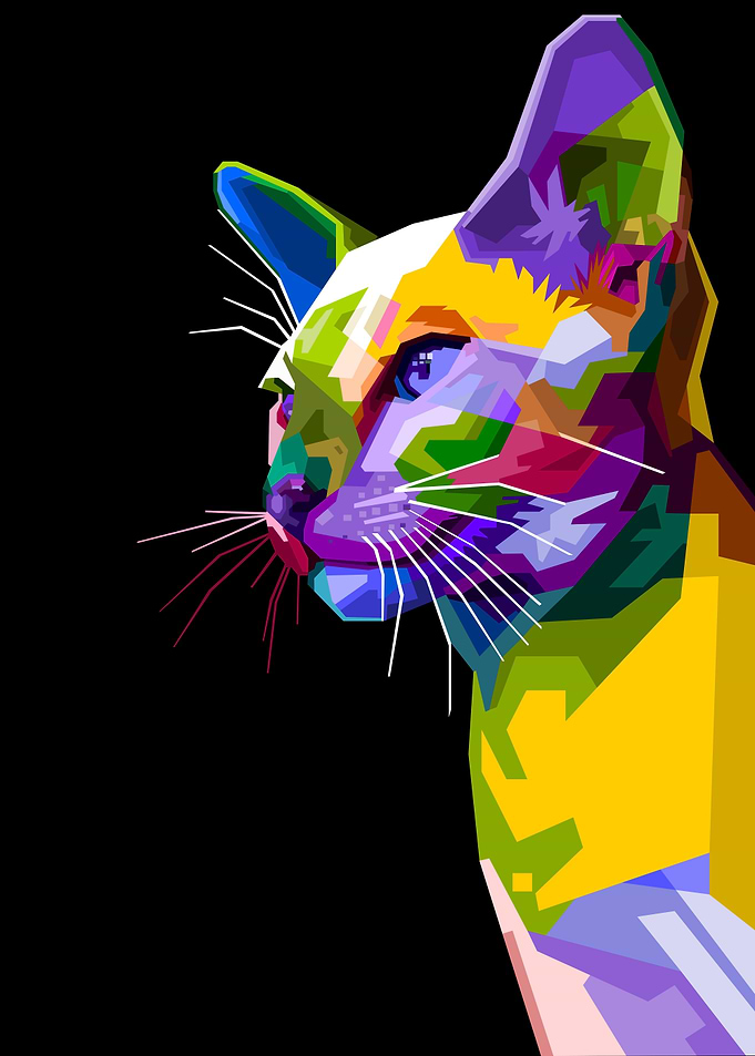 siamese cat on pop art