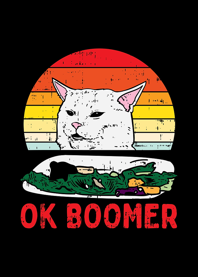 Confused Cat Ok Boomer