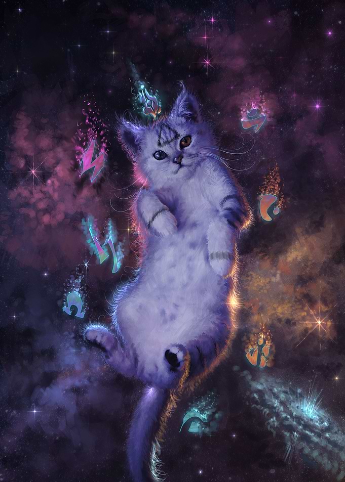 Space Cat