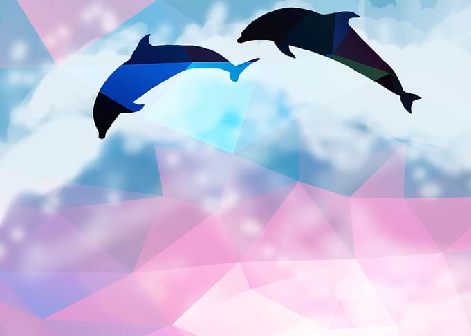 dolphins bokeh