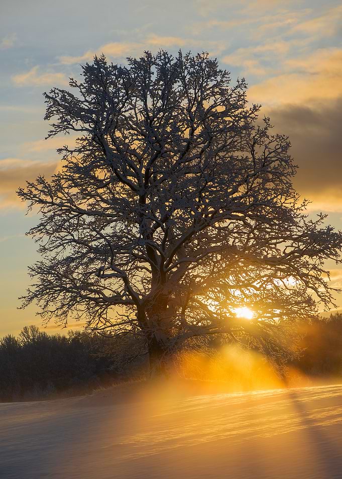 Winter sunrise landscape