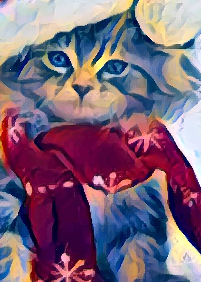 Christmas Kitten