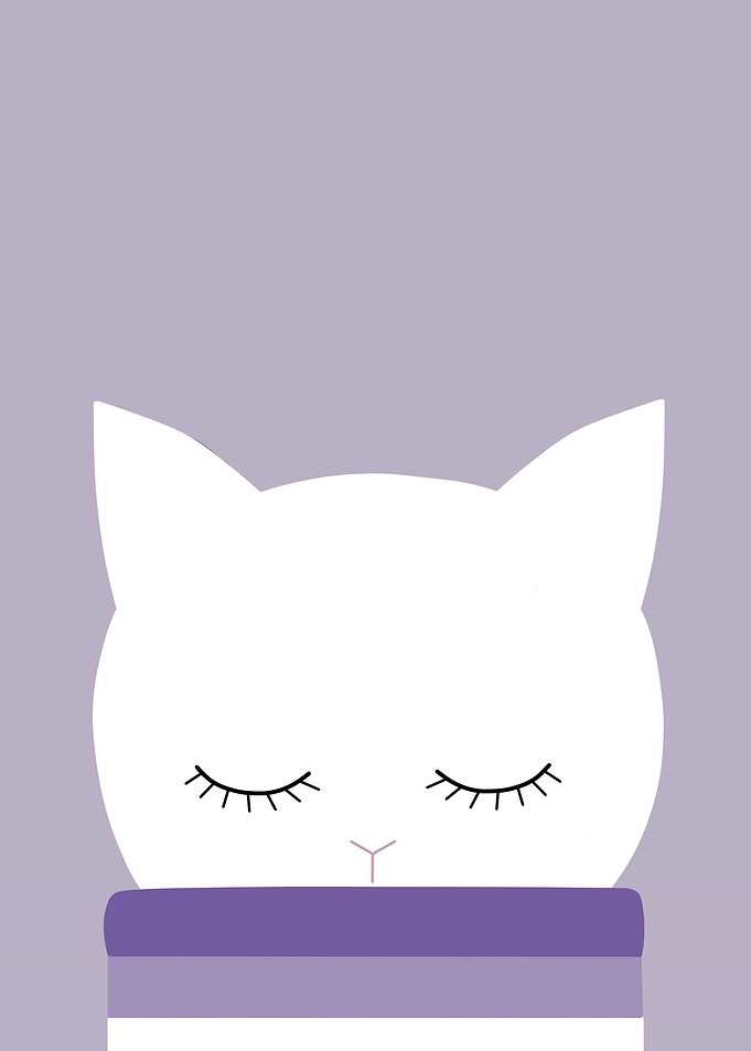 Sleepin Cat